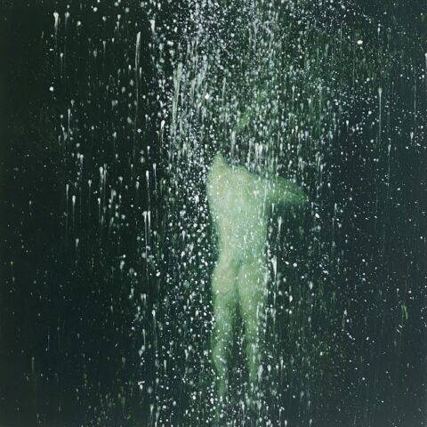 2024 oil on panel 12 x 12 inches