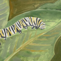 2007 oil on panel 9 x 16 inches