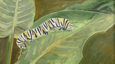 2007 oil on panel 9 x 16 inches