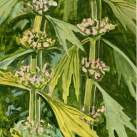 2008 oil on panel 20 x 12 7/8 inches