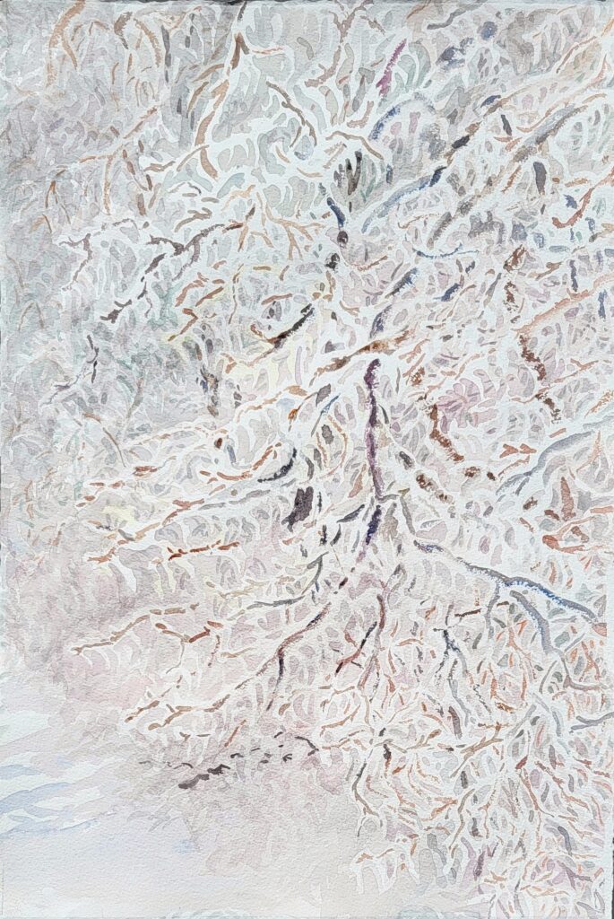 2024 watercolor 15 x 22 inches