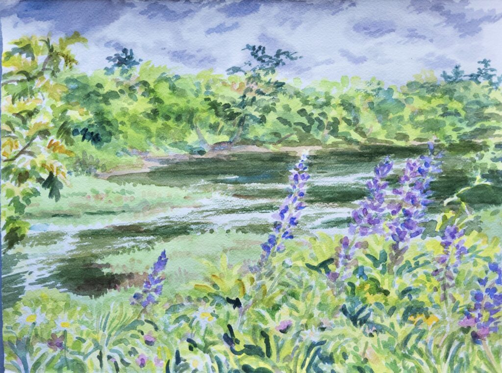 2023 watercolor 11 x 15 inches