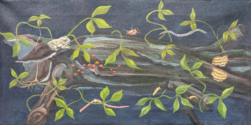 2024 oil on canvas 12 x 24 inches