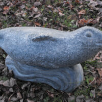 2024 granite 12 x 23 x 10 inches