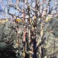 2006 watercolor 20 x 24 inches