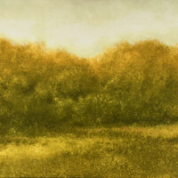 n.d. oil on rag on canvas 18 x 30 inches