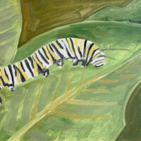 2007 oil on panel 9 x 16 inches