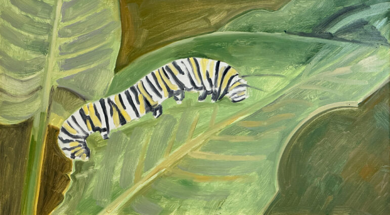2007 oil on panel 9 x 16 inches