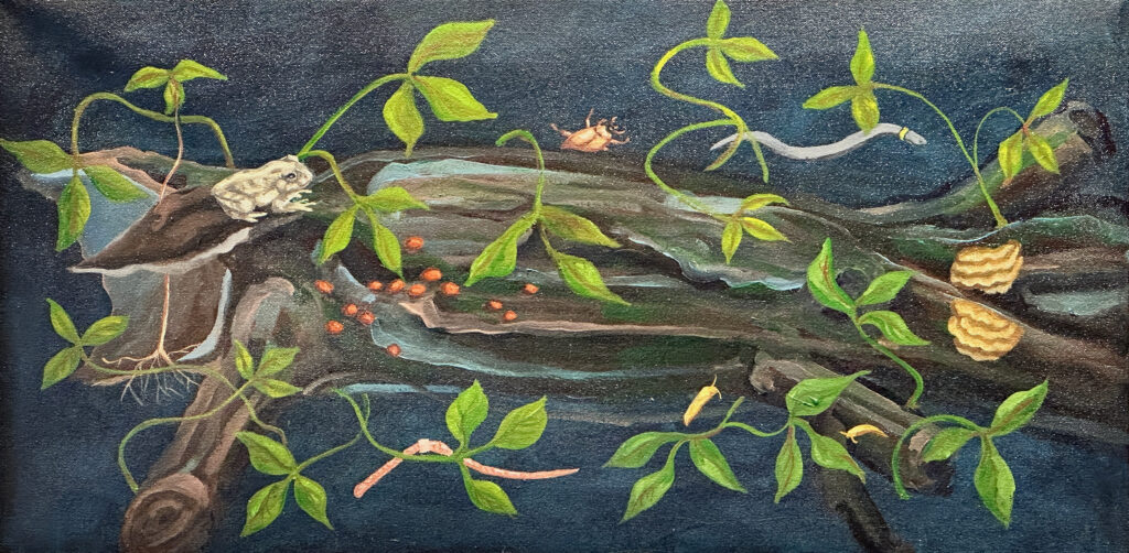 2024 oil on canvas 12 x 24 inches (sold)