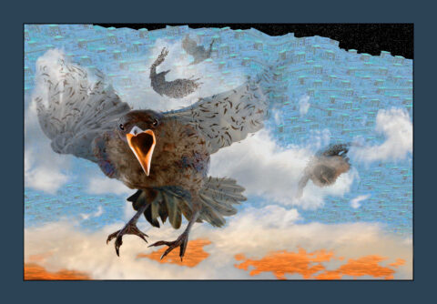 2025 photograph 46 x 56 inches