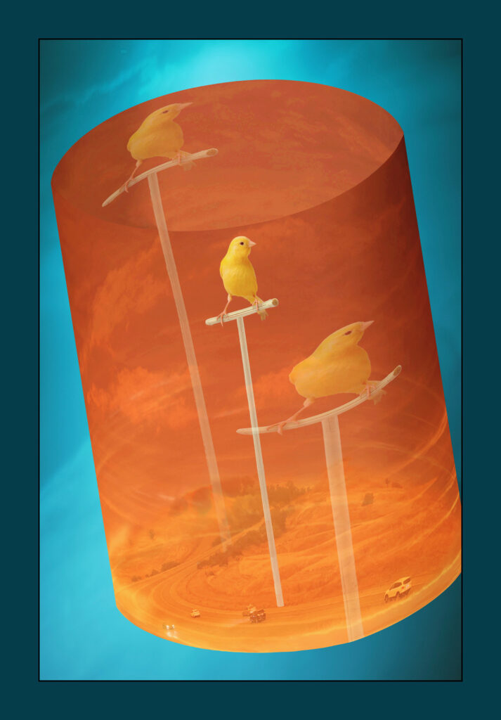 2025 photograph 46 x 66 inches