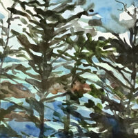 watercolor on paper 11 x 16 inches