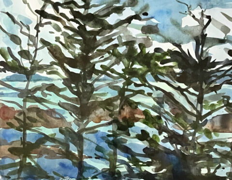 watercolor on paper 11 x 16 inches
