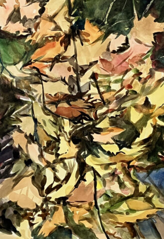 watercolor on paper 20 x 13 inches