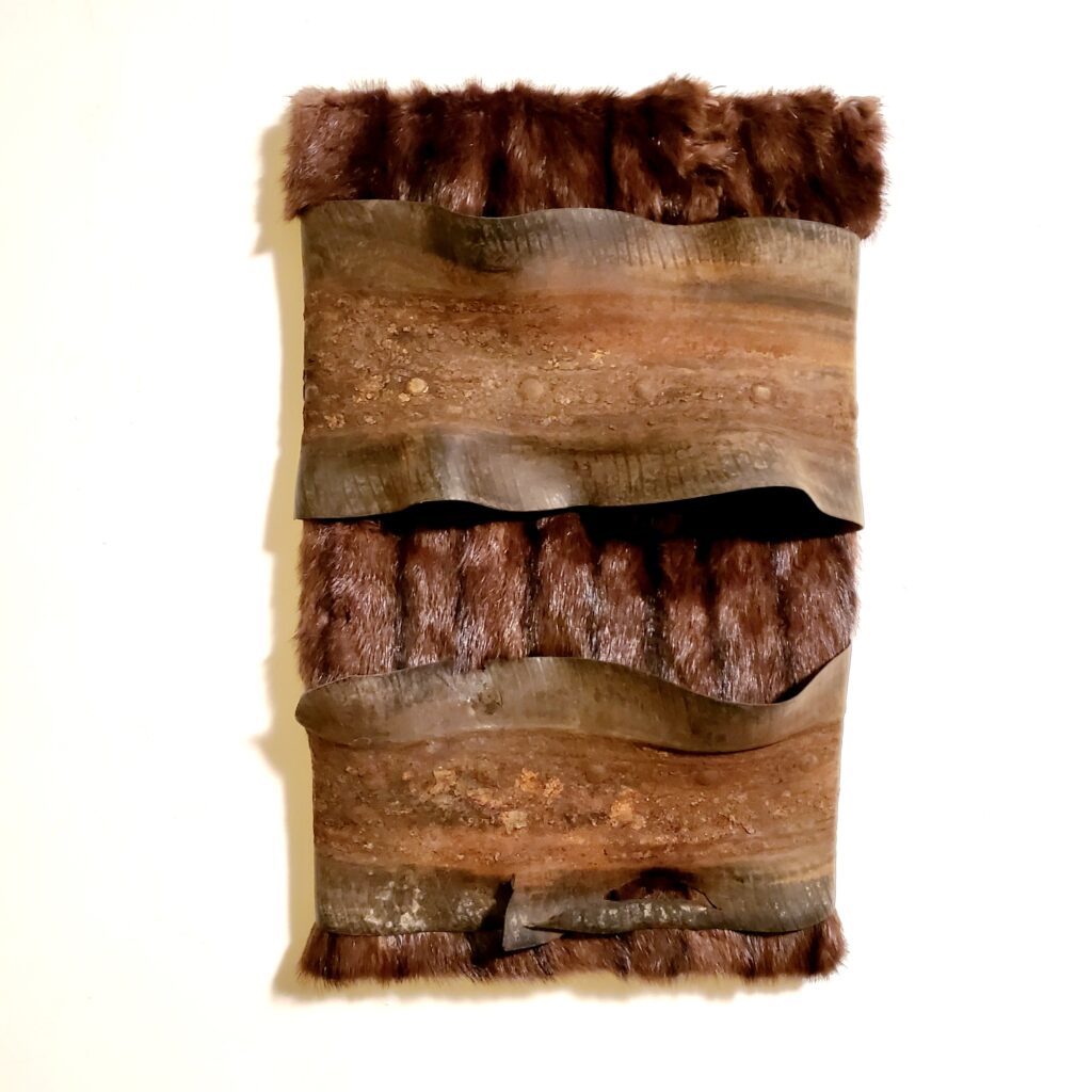 2025 found fur, found rubber on board