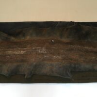2023 found truck tire inner tube, wool blanket, cotton workjacket on board 24 x 51 x 6 inches