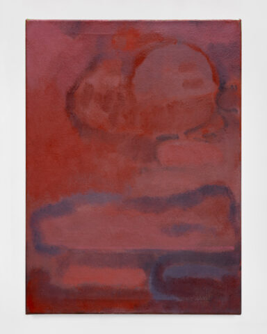 2025 oil on canvas 30 x 22 inches