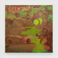 2024 oil on canvas 30 c 30 inches
