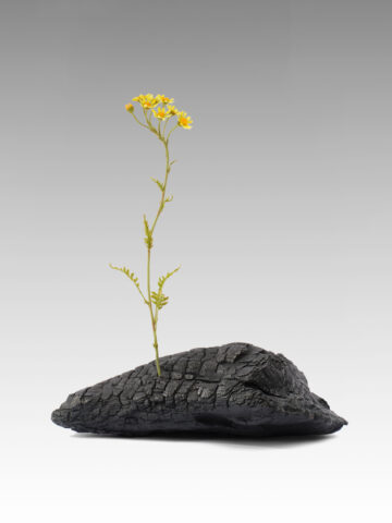 2023 bronze , clay, oil and watercolor
