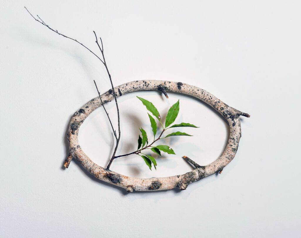 n.d. birch branches, clay, acrylic paint 8 x 16 x 4 inches