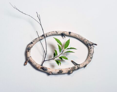 n.d. birch branches, clay, acrylic paint 8 x 16 x 4 inches