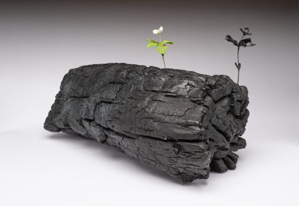 2016 bronze, clay, oil, paint 9 1/2 x 21 x 9 inches