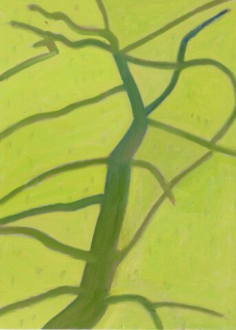 2016 oil pan aluminum 7 x 5 inches