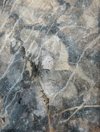 n.d. oil on canvas 24 x 18 inches