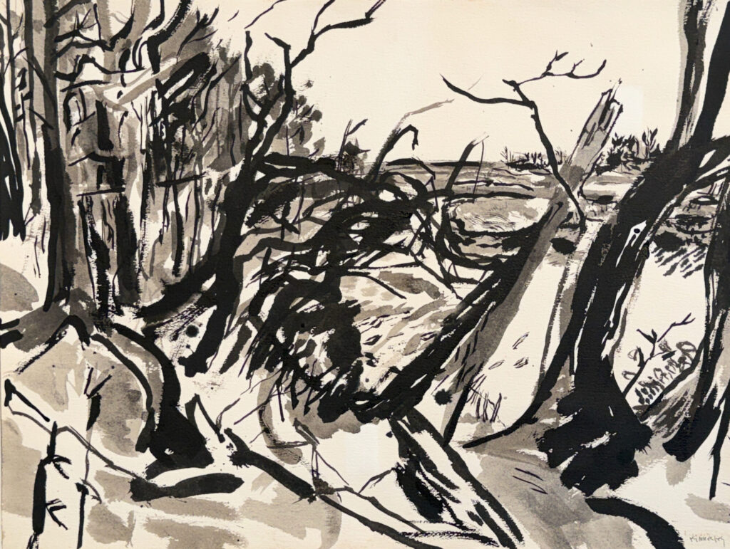 n.d. ink on paper 18 x 24 inches