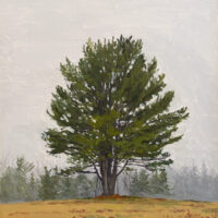 2002 oil on canvas 20 x 18 inches
