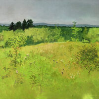 1974 oil on canvas 48 x 54 inches